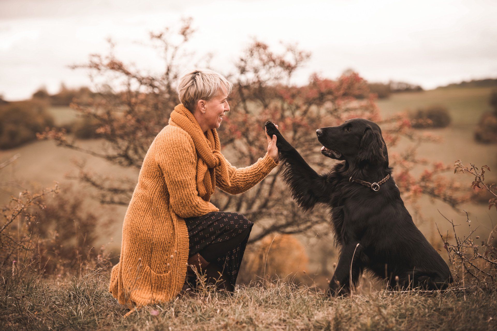 Würzburg Tierfotografie Portraits Fotografie