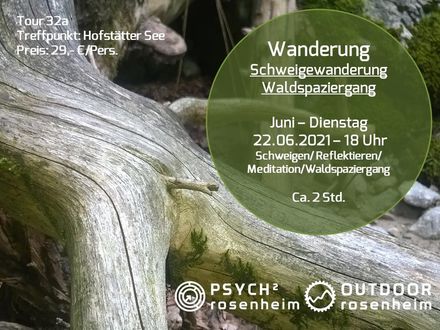 Schweigewanderung am Hofstätter See Waldspaziergang 32a_2021_06_22_T32a_WAN_Schweigewanderung