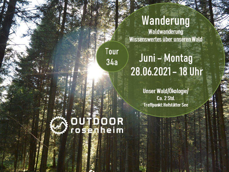 Waldwanderung am Hofstätter See Waldspaziergang 34a_2021_06_28_T34a_WAN_Waldwanderung