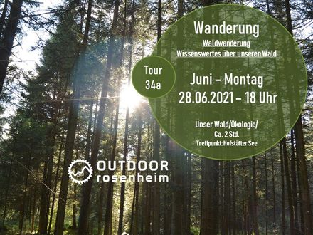 Waldwanderung am Hofstätter See Waldspaziergang 34a_2021_06_28_T34a_WAN_Waldwanderung