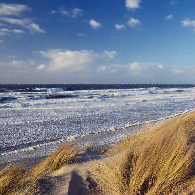 Winterlicher Strand. Blick von Düne