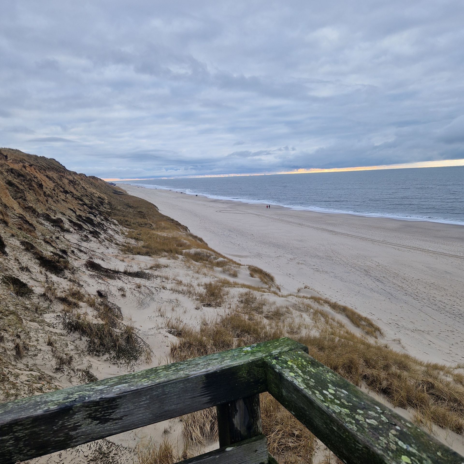 Ausblick von Düne über einen Nordseestrand. Im Vordergrund ein Holzgeländer.