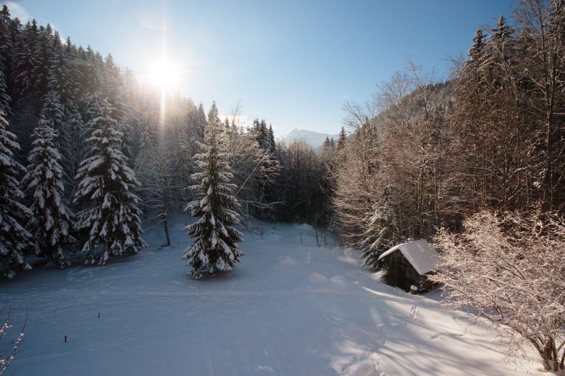 Vue gîte hiver