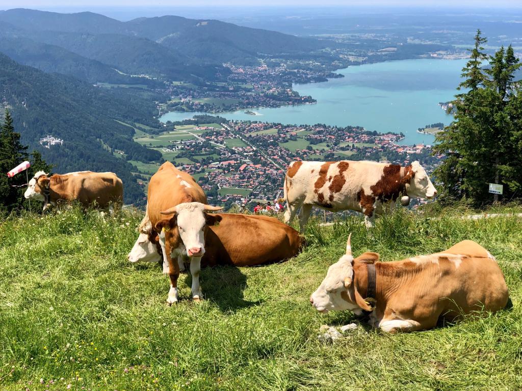 Ferienwohnung am Tegernsee