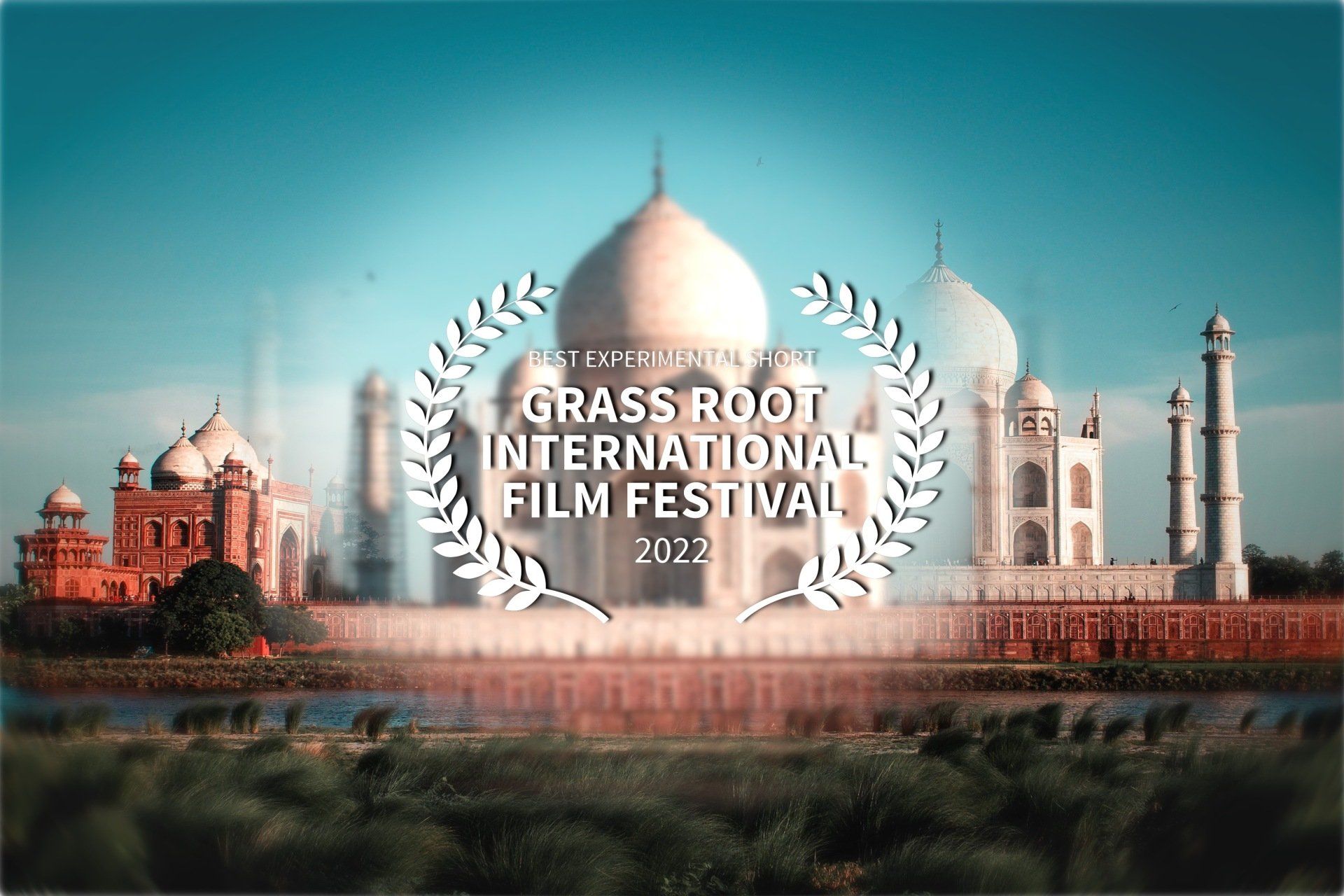 Eva Ludwig - sYnc, Grass Root IFF