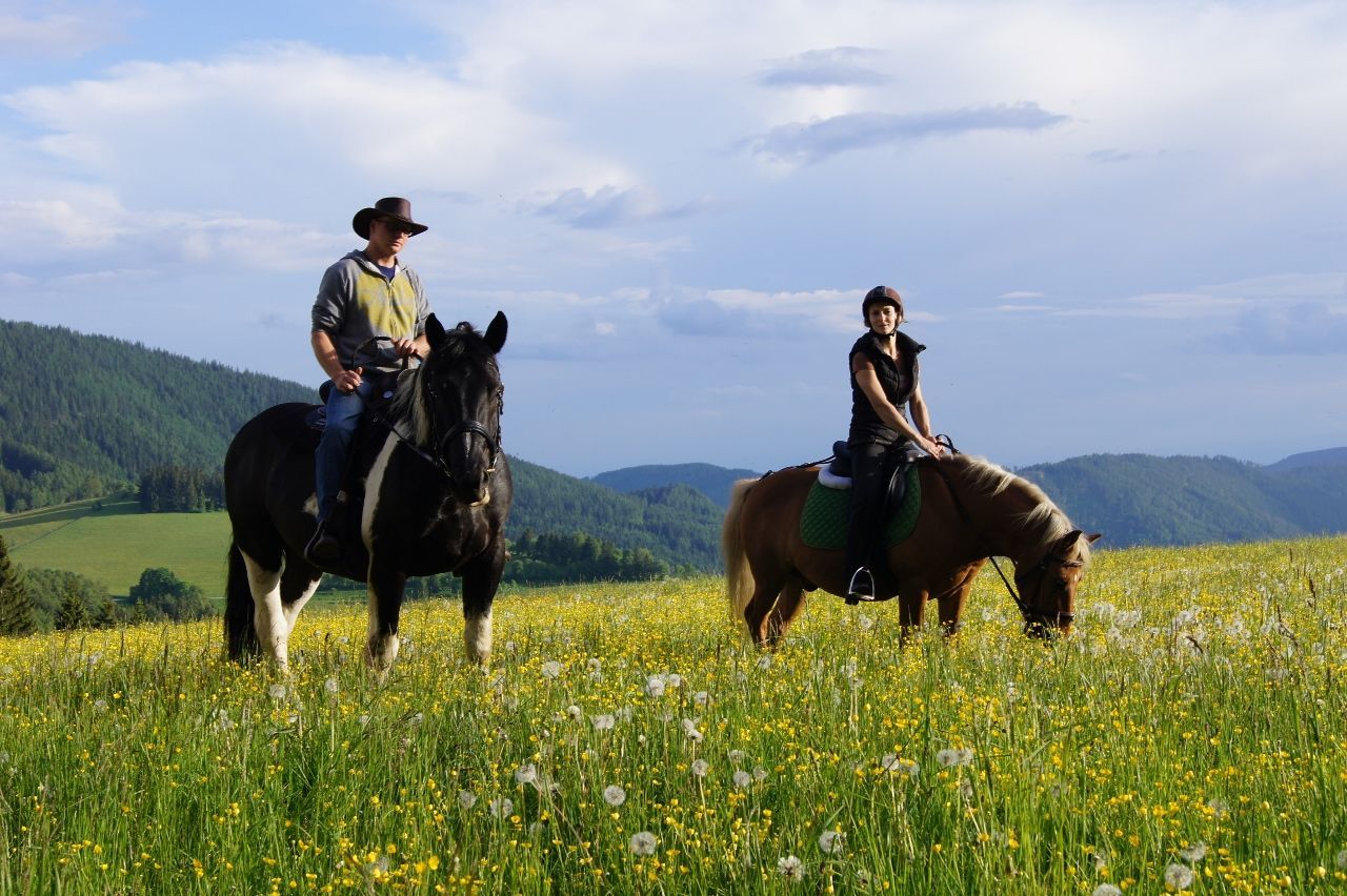 Reiturlaub in der Steiermark, Reiturlaub Österreich