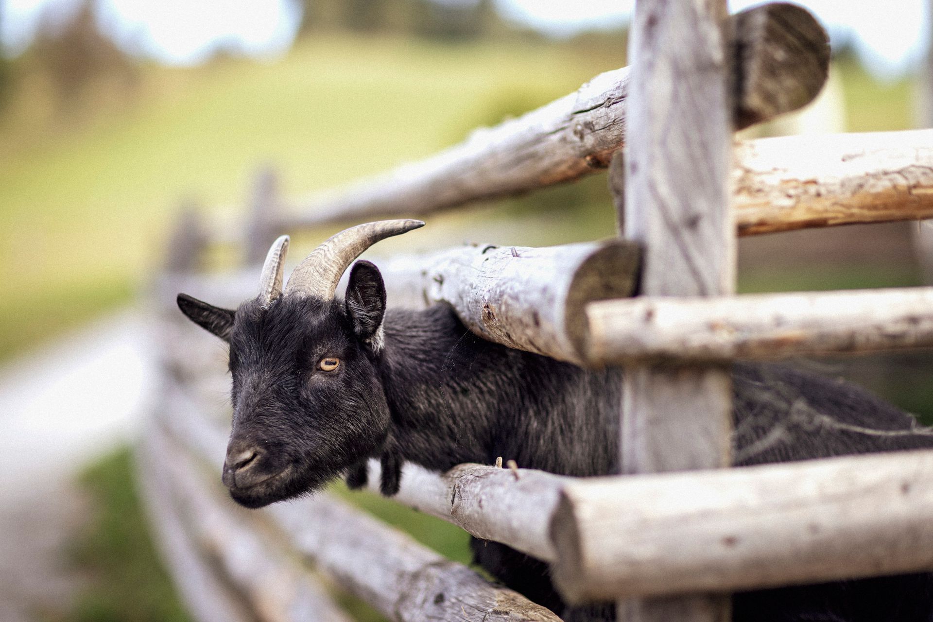Familienurlaub Steiermark, Familienurlaub Österreich