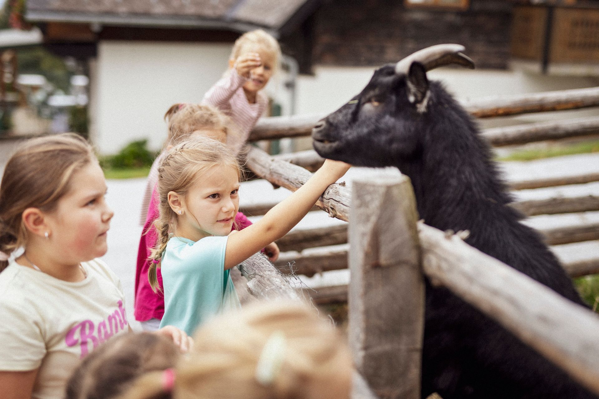 Urlaub in der Steiermark, Urlaub im Almenland
