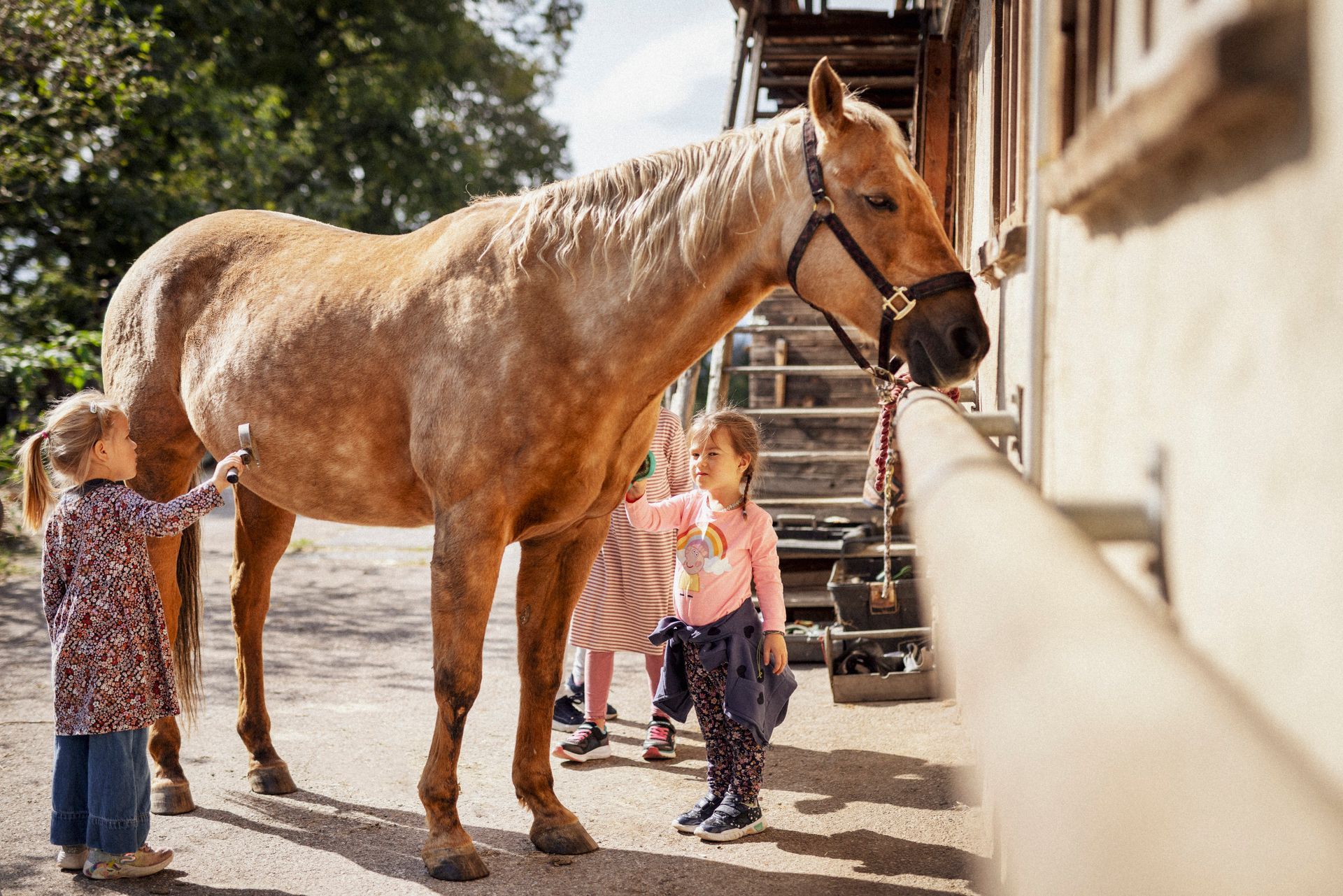 Reiturlaub in der Steiermark, Reiturlaub Österreich