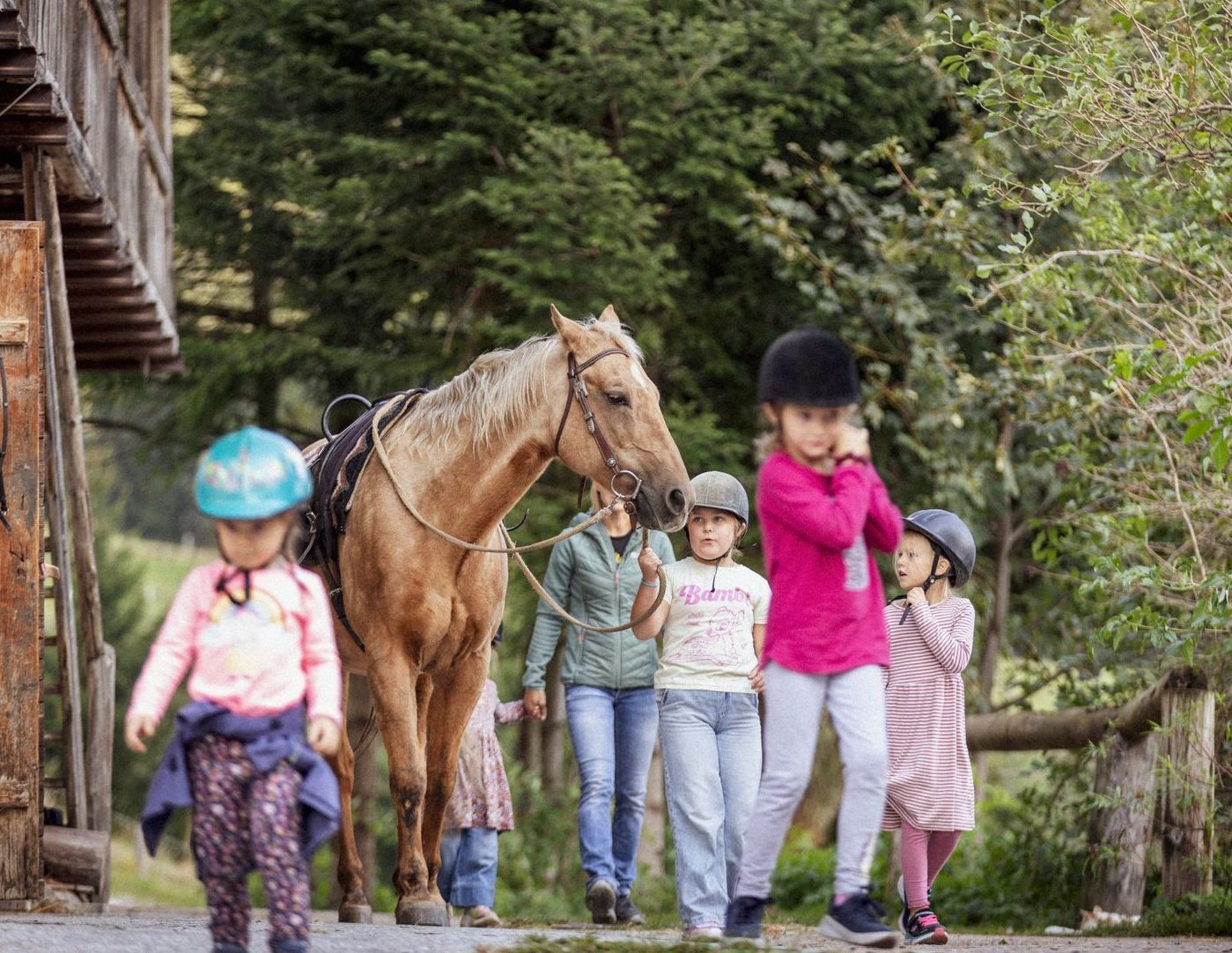 Familienurlaub Steiermark, Familienurlaub Österreich