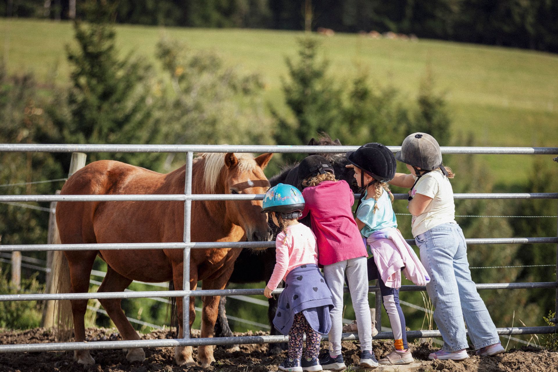 Reiturlaub in der Steiermark, Reiturlaub Österreich