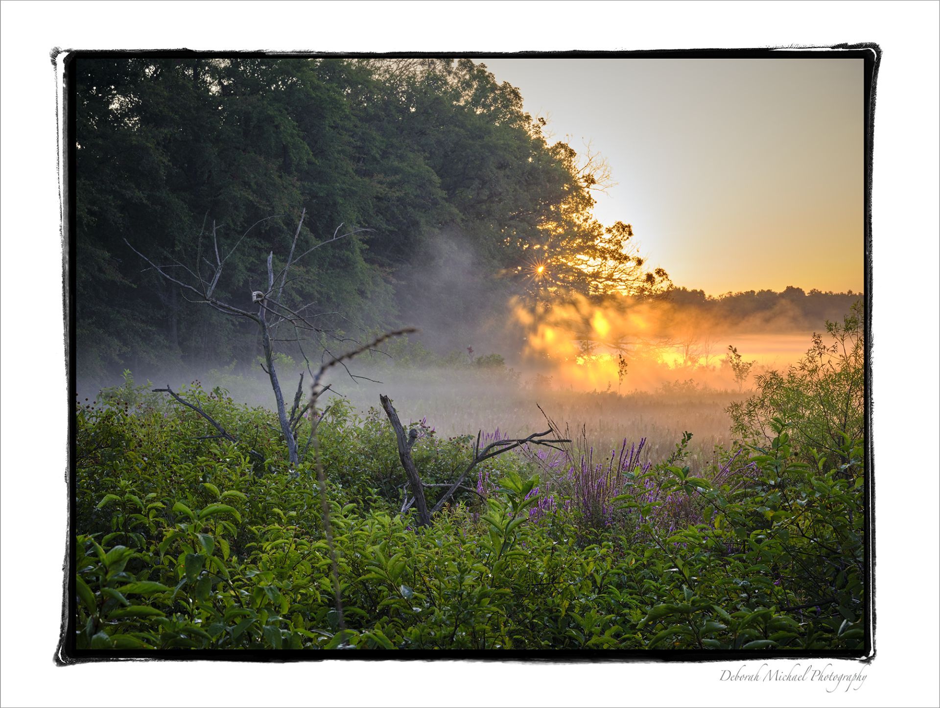 FOG-AND-FIRE-Portage-Michigan
