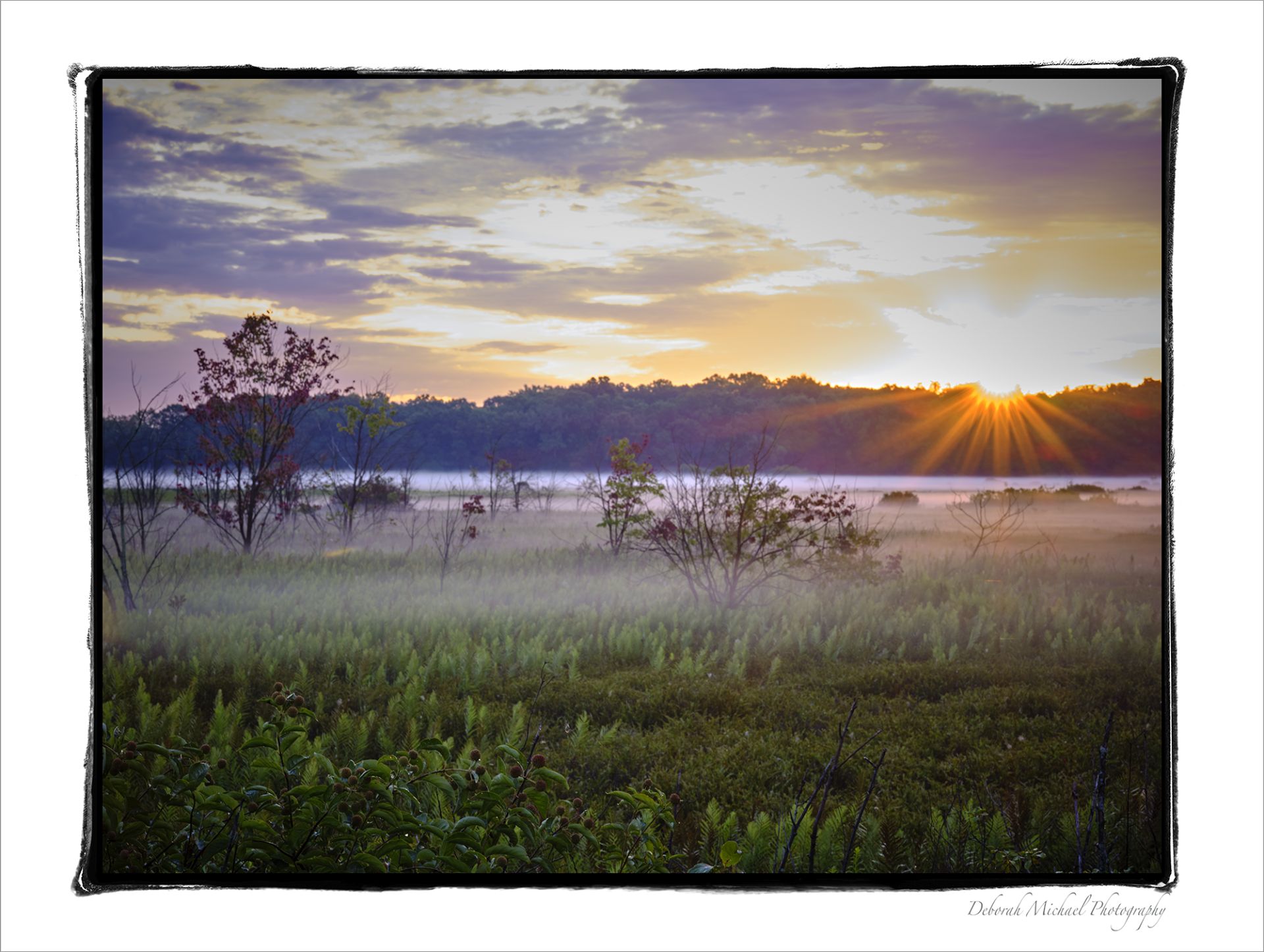 SUNRISE-HAMPTON-CREEK-WETLANDS-Portage-Michigan