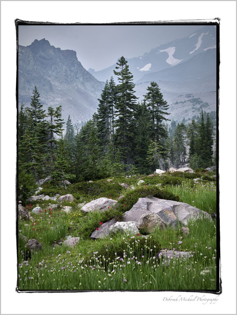 PANTHER MEADOWS - Mount Shasta California