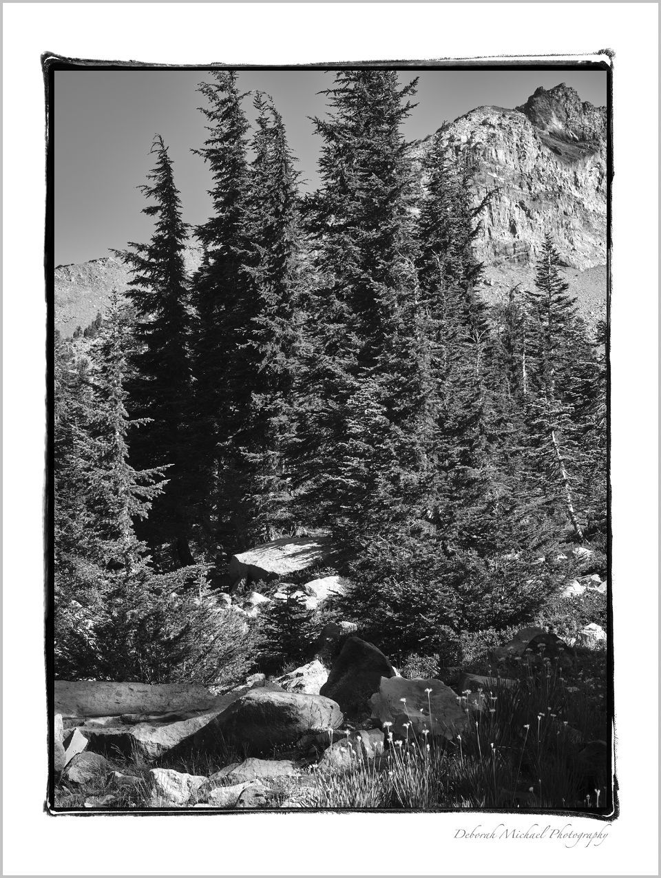 HOPE SPRINGS - Mount Shasta California