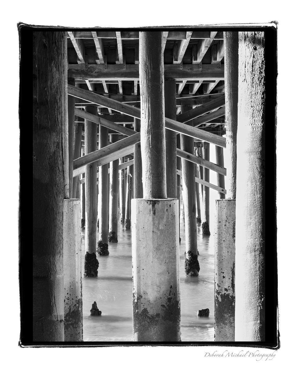 Deborah Michael Photography and Design