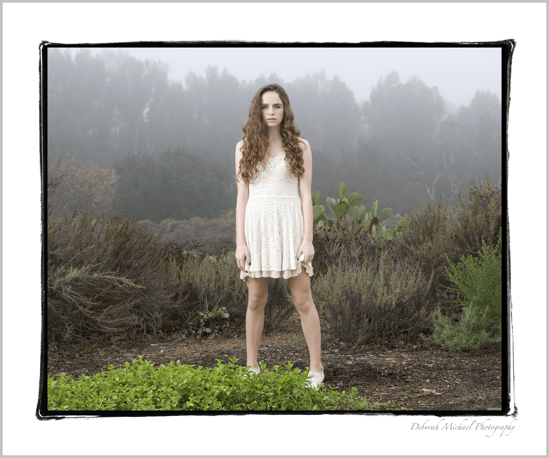 TWILIGHT - Orange County California