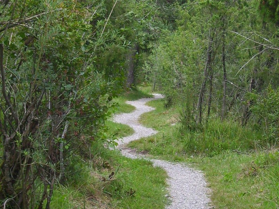 Wacholderheide bei Lechbruck