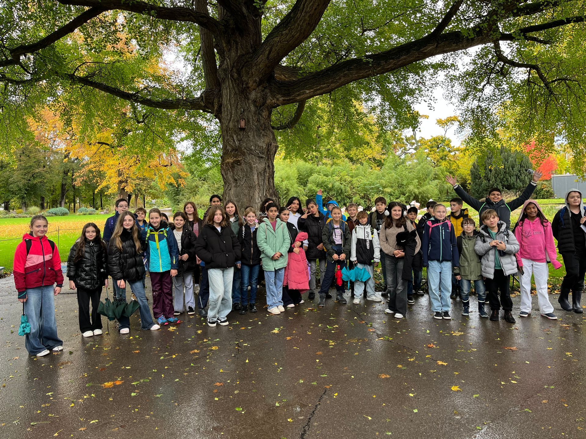 Profilwoche KLasse 5