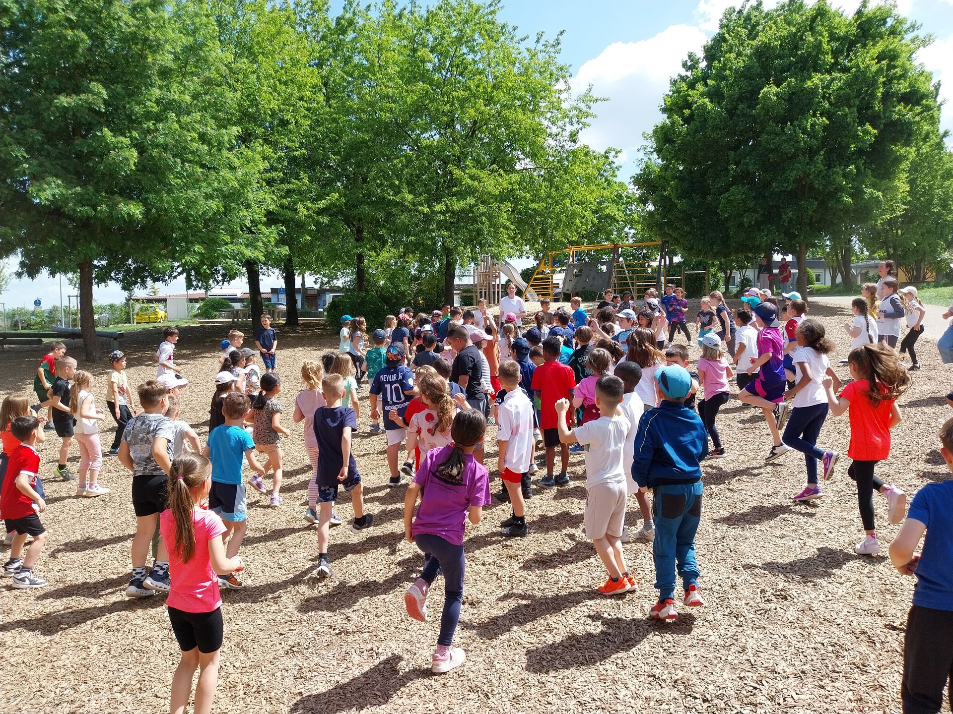 Sportfest 1/2 Bild 5