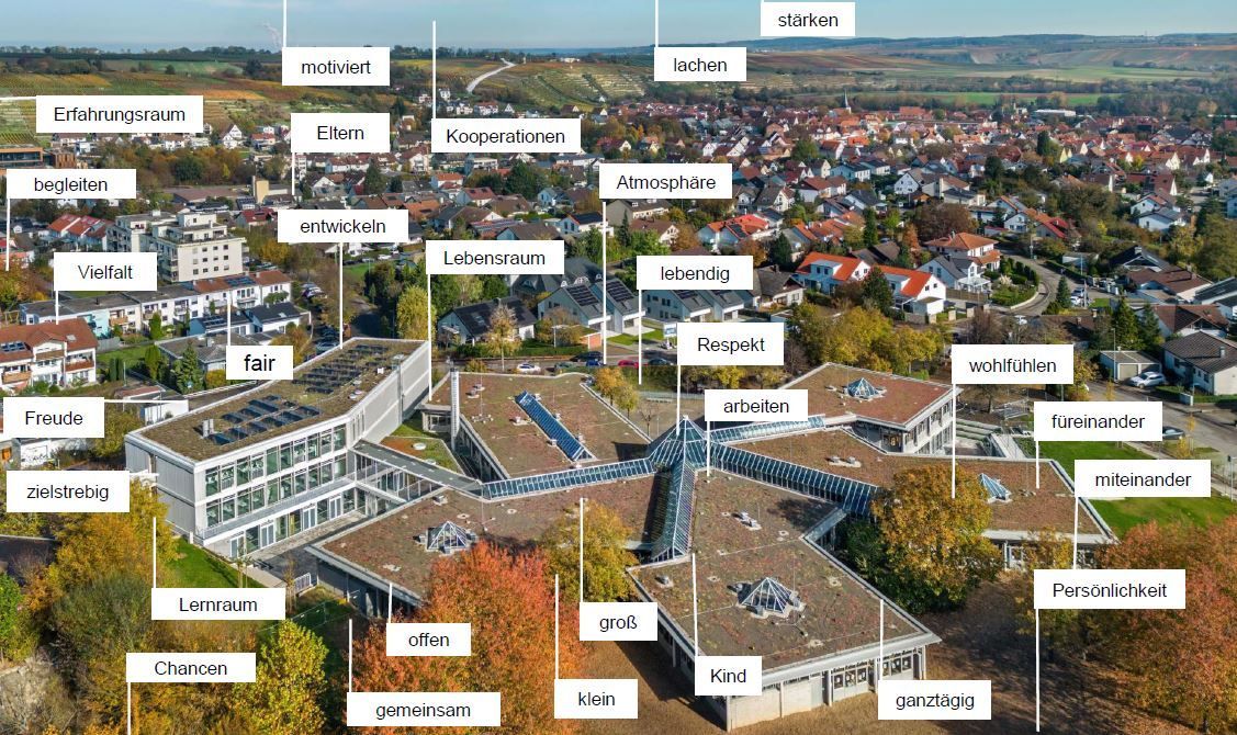 Schulbild mit Begriffen