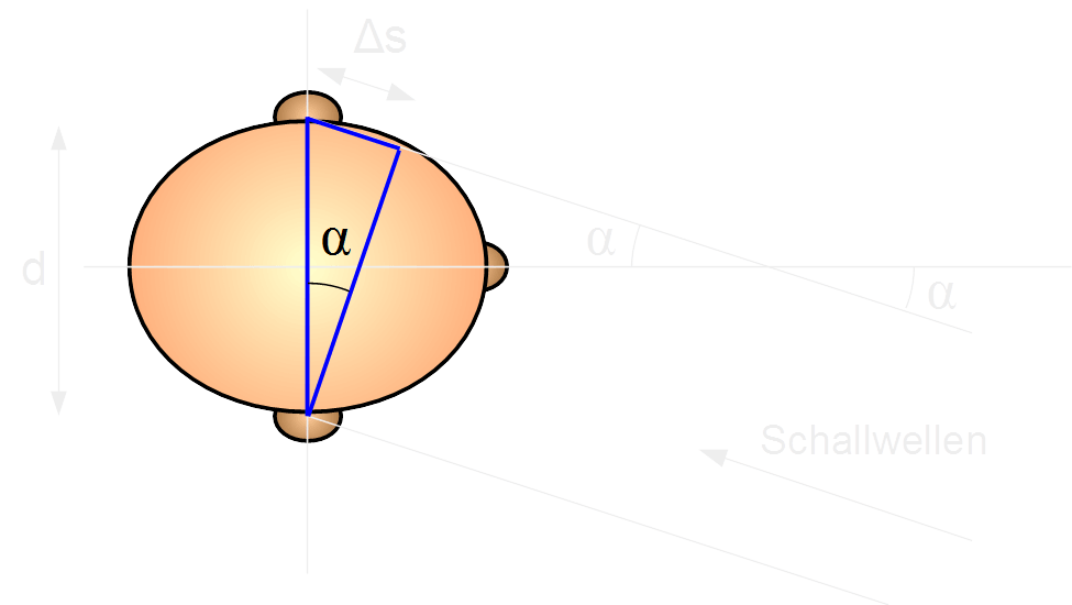 Die Laufzeitdifferenz  bezeichnet den Zeitunterschied, den der Schall benötigt, um erst das, der Schallquelle zugewandte Ohr und danach das abgewandte Ohr zu erreichen. Laufzeitdifferenz