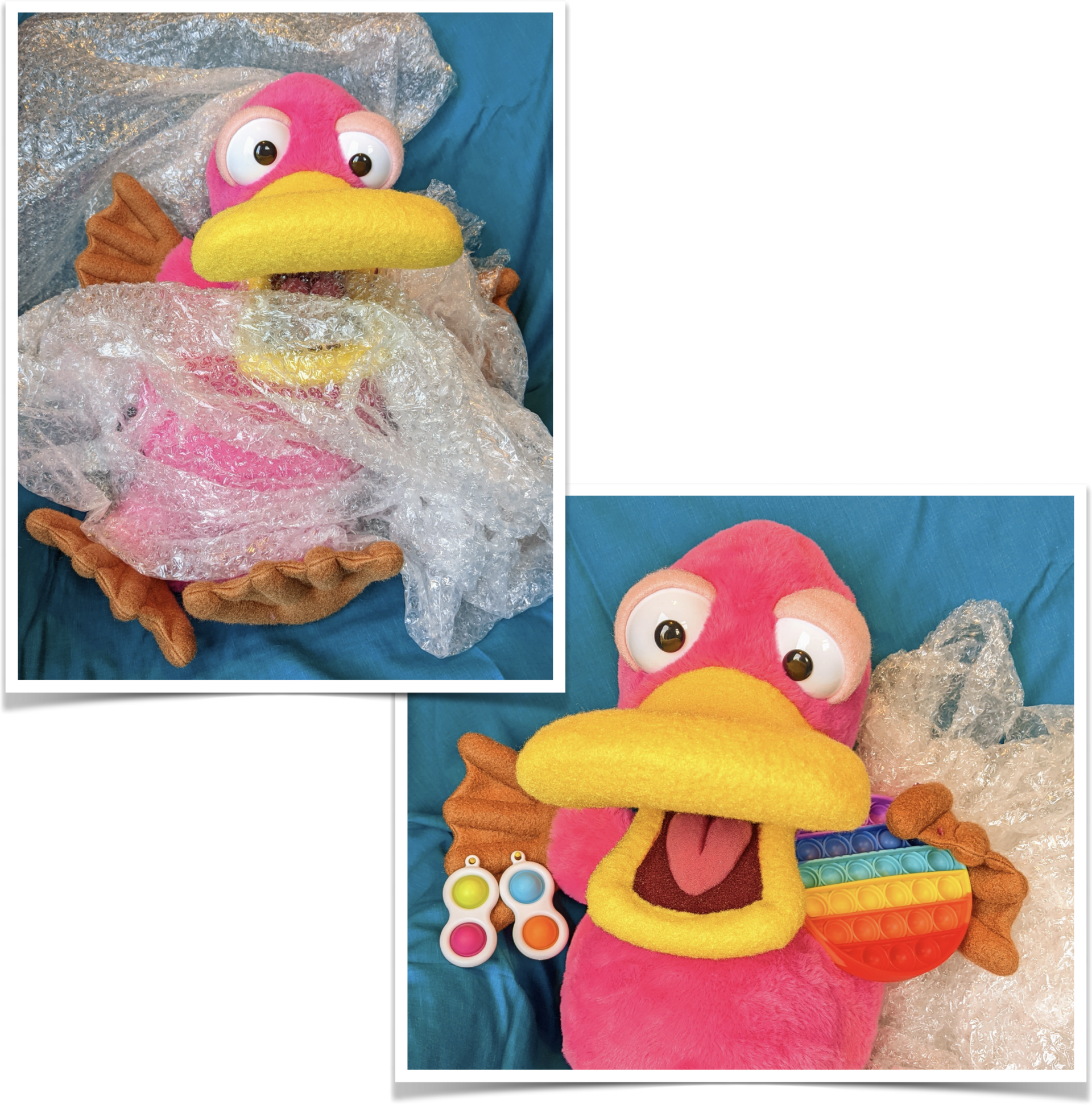 Two photos: One with Theo the Platypus puppet with bubble wrap wrapped around him, the other he'e holding brightly coloured popper toys.