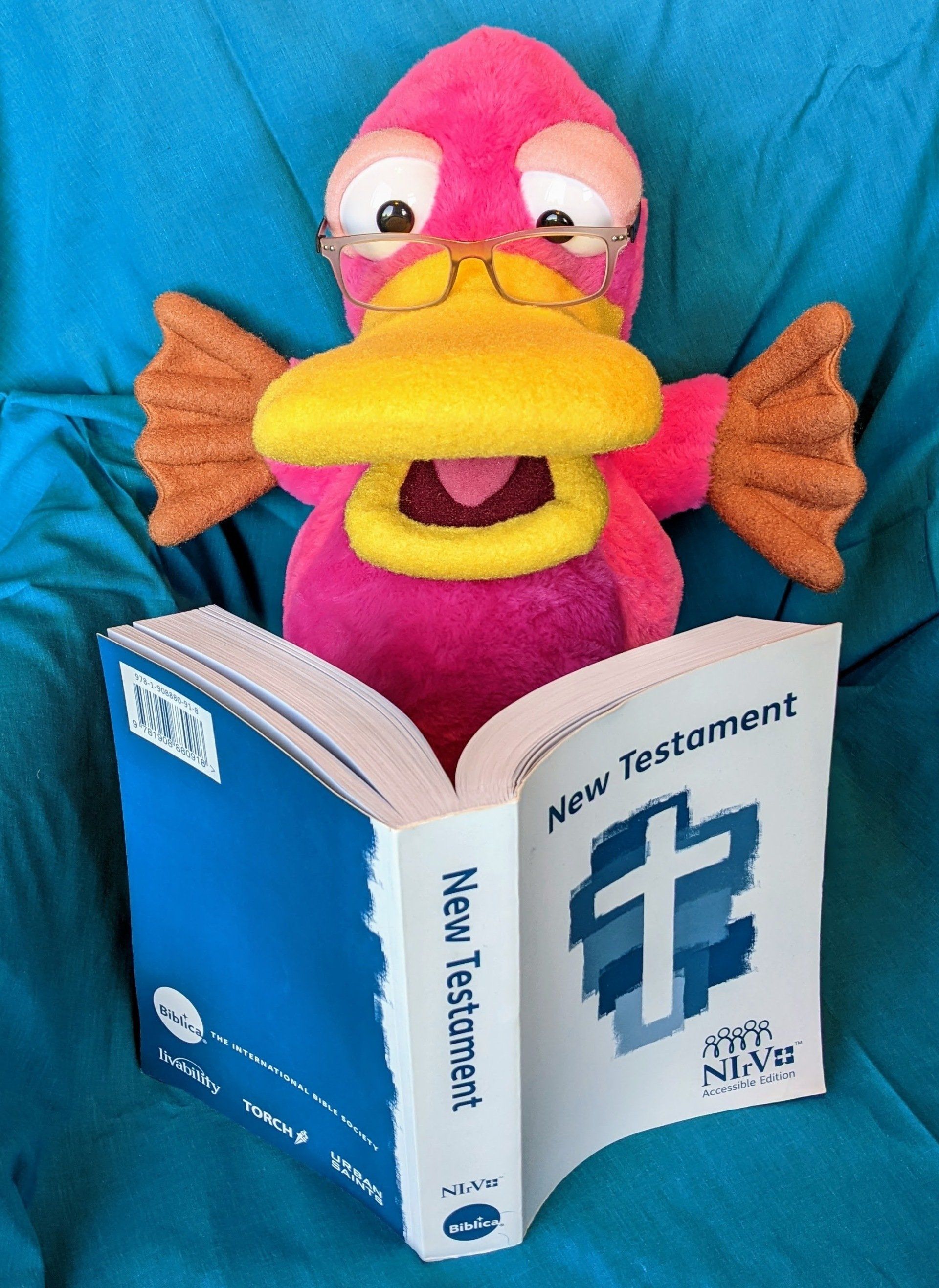 Theo the pink platrypus puppet holding and open accessible Bible.