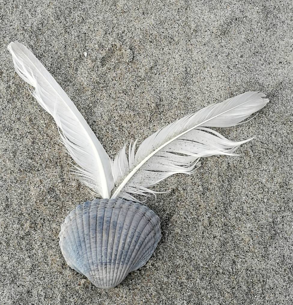 Trauer und Trauma begegnen