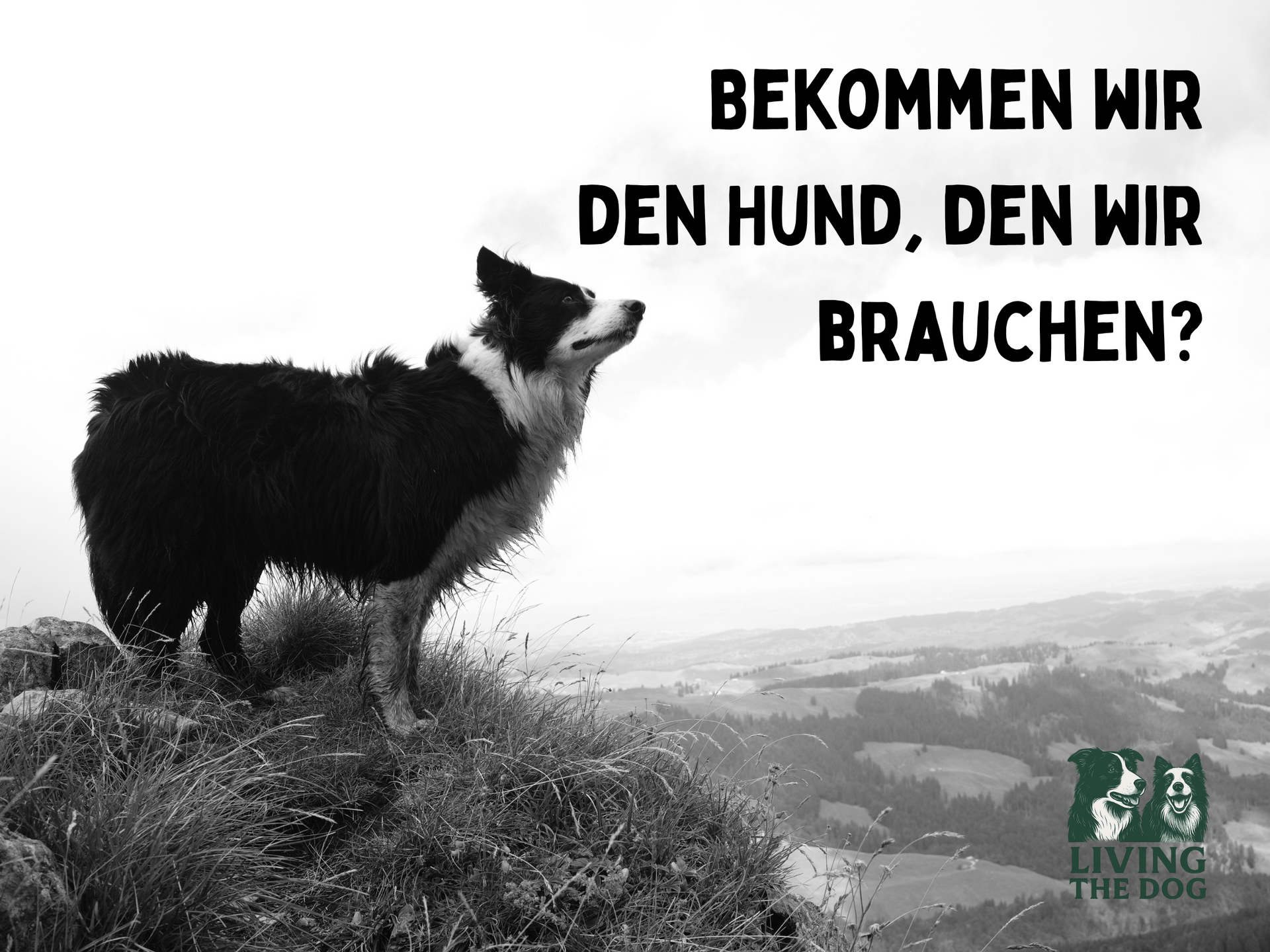 Living the Dog- Stephan Peukert