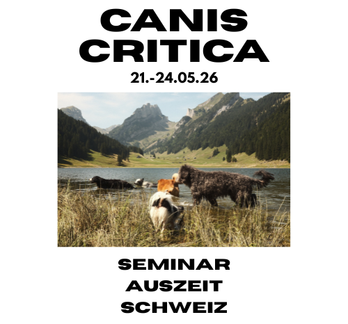 Stephan Peukert - Kommunikation, die Mensch und Hund verbindet