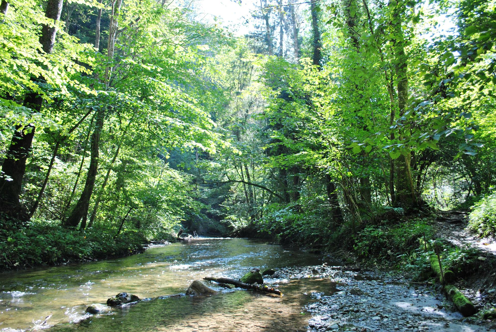 Naturschutzgebiet Aachtobel + Taisersdorf