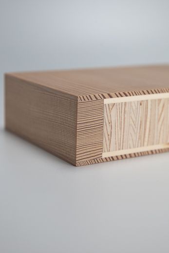 Innentürrohling längs belegt von Holz Hogger