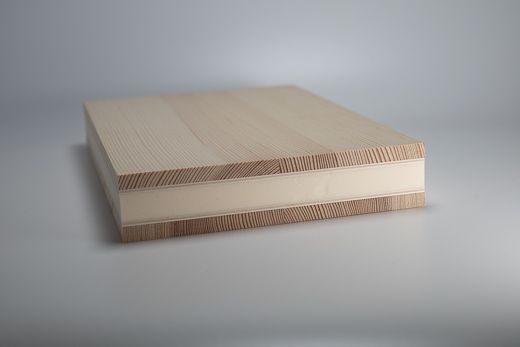 Sandwichplatten von Holz-Hogger, auch mit ökologische Holzfaserkern