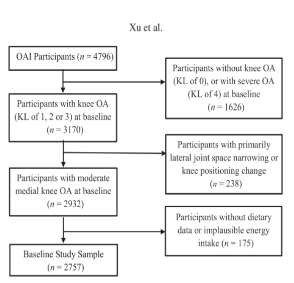 Dietary Patterns and Progression of Knee Osteoarthritis: Data from the Osteoarthritis Initiative