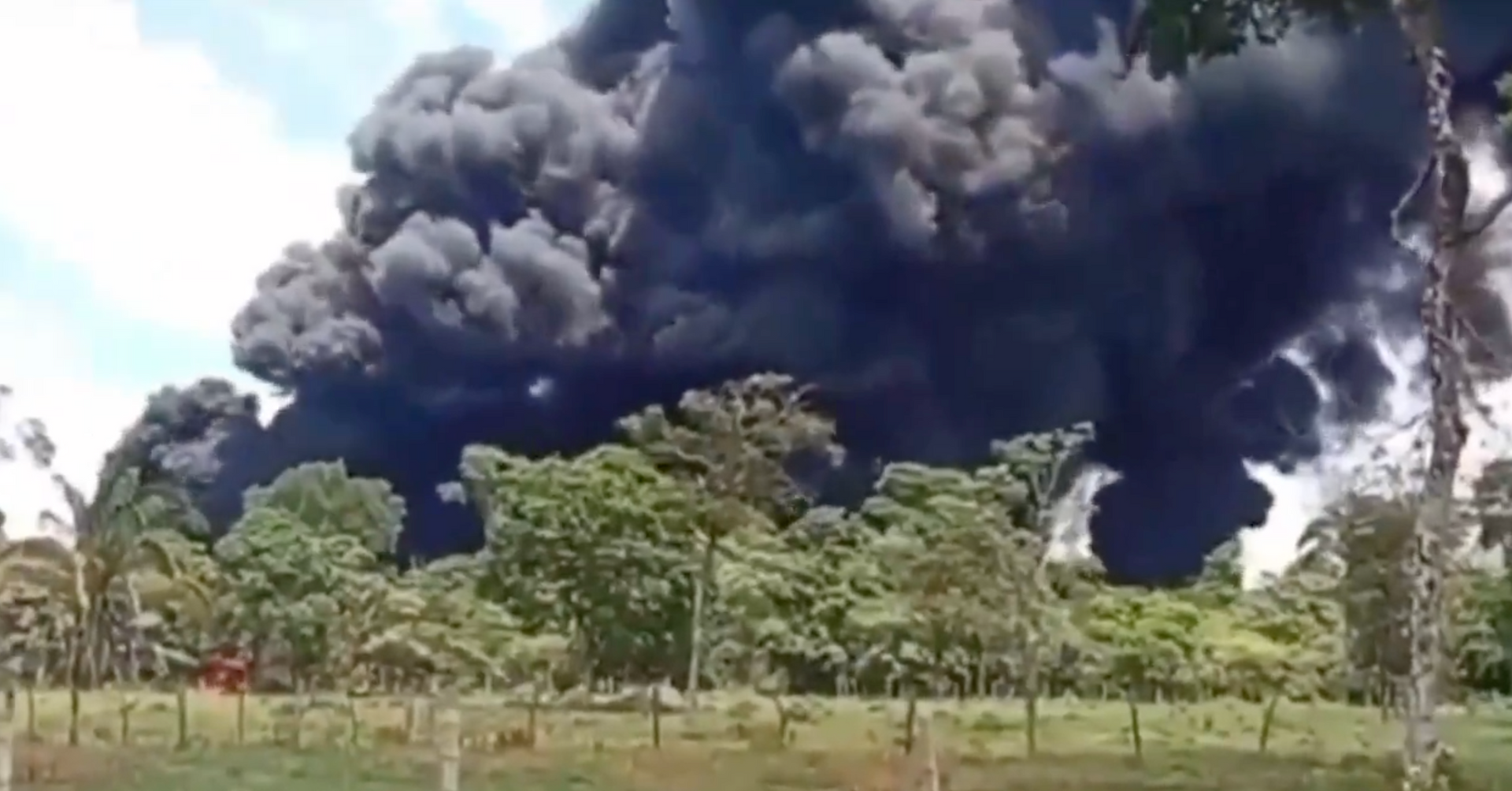 Statistics, Charts, and Maps Illustrating the Murders Tied to the War on Drugs