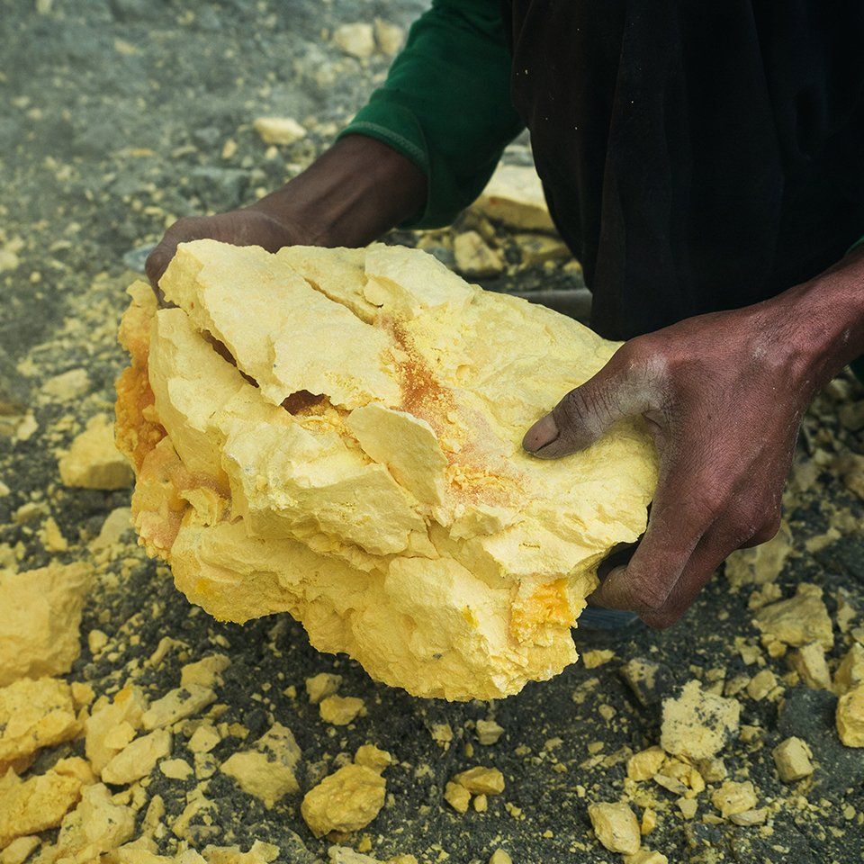 Wirkstoff: Rhus toxicodendron Wirkstoff: Rhus toxicodendron