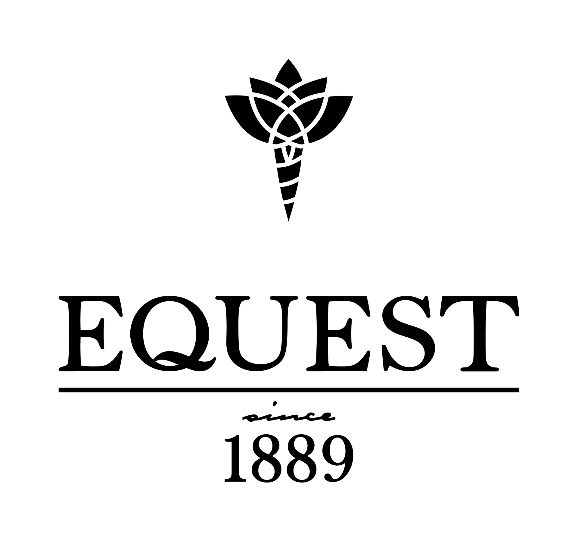 Logo Partner Equest by Hölscher