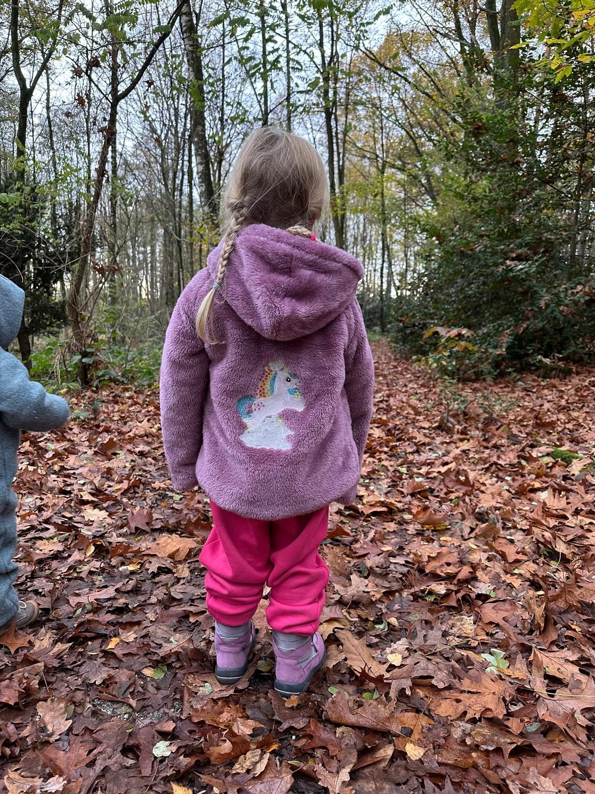 Kinderjacke mit Bestickung: gestickte Einhorn-Jacke für Kinder.
