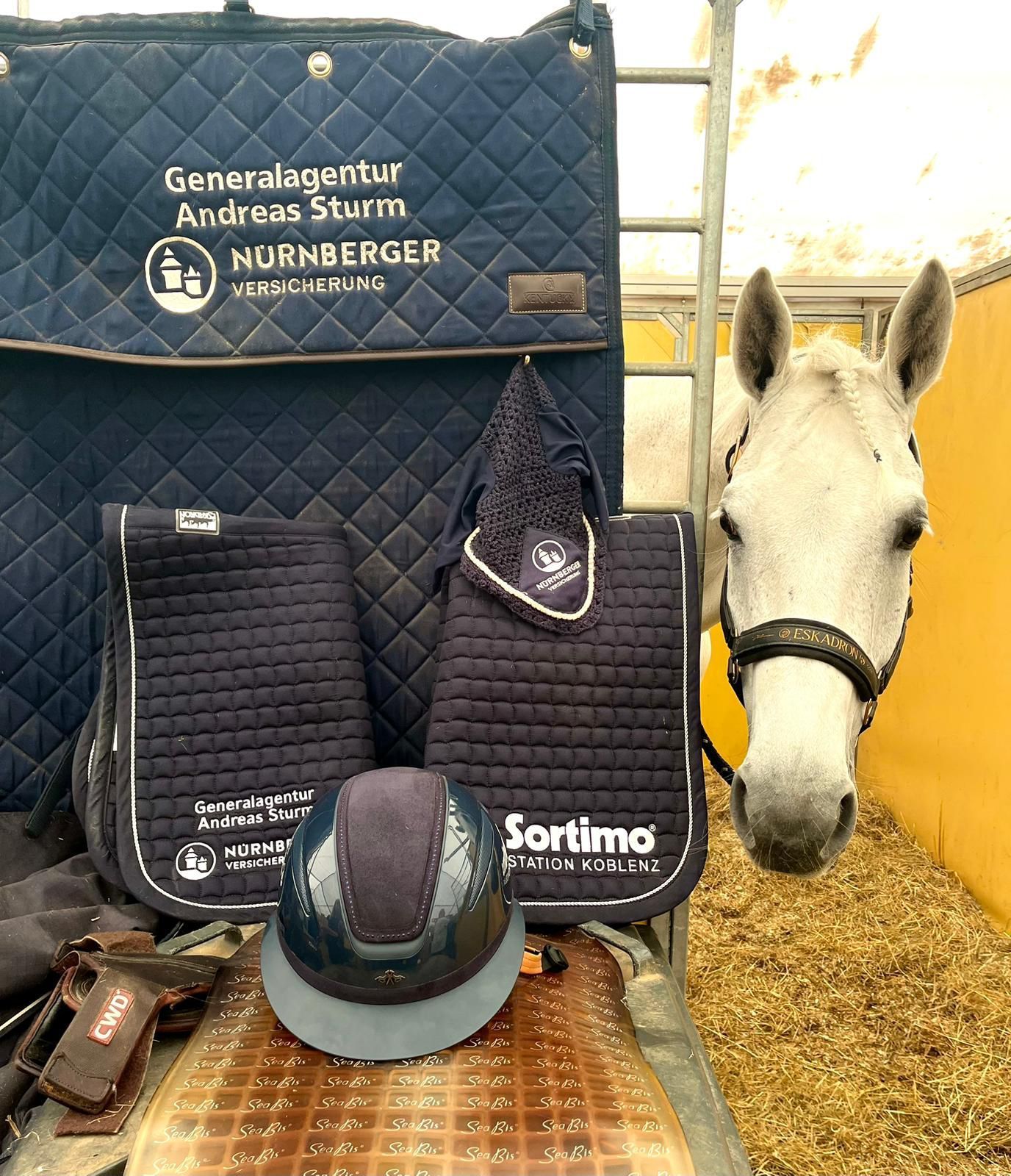 bestickter Boxenvorhand, Schabracke und Fliegenohren Nürnberger General Agentur Andreas Sturm für Reiter Thorsten Schiltz