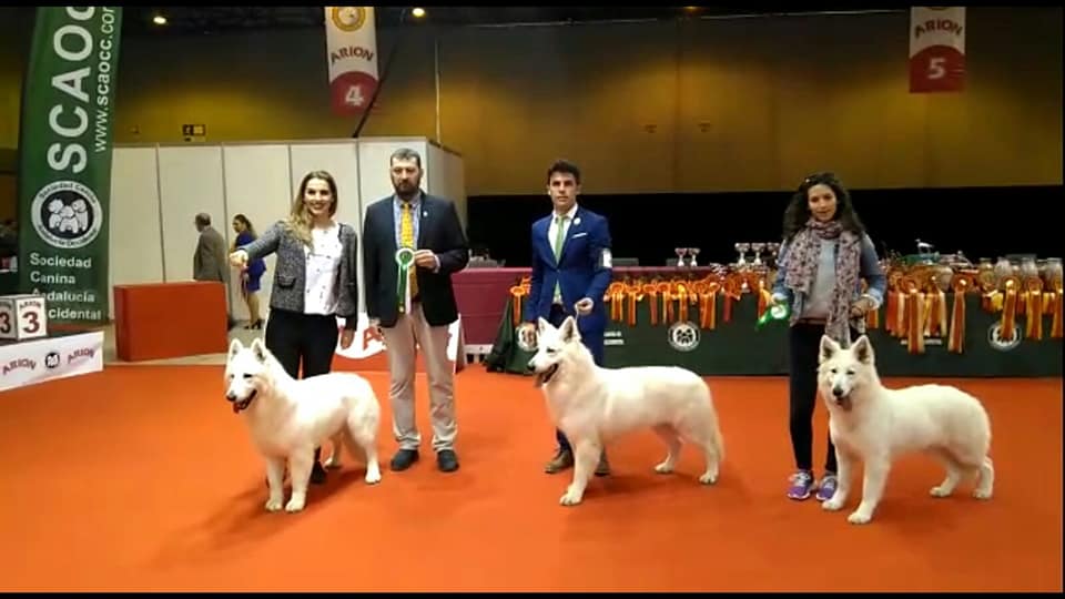 De izda a drcha: Pilar, César y Cris con Sugar, Jerry y Afro respectivamente