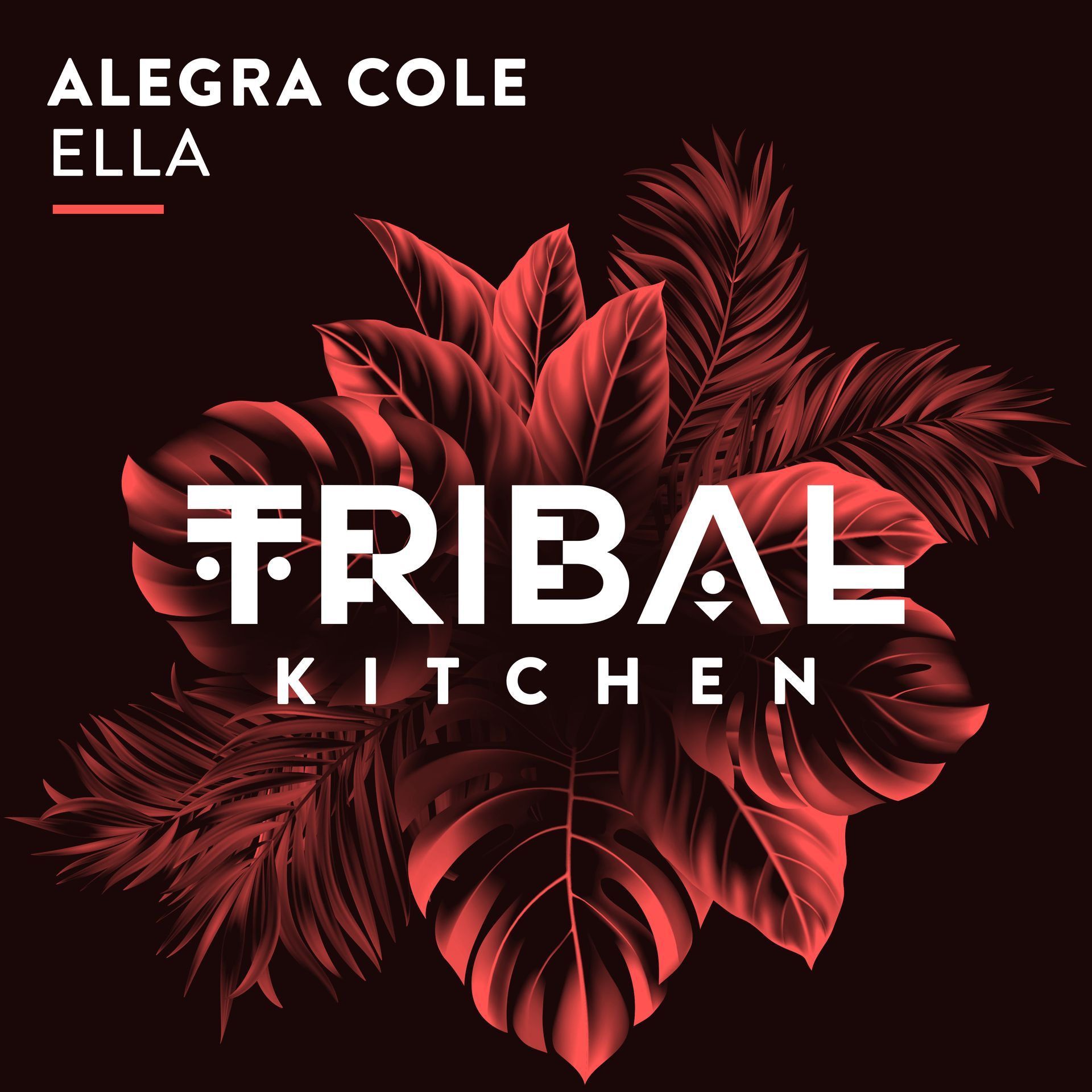 Alegra Cole ist eine deutschland- und europaweit bekannte DJane und Produzentin mit Topreferenzen für Fachmessen, Firmenveranstaltungen, Tagungen, Dinner und Store Events, Roadshows, Jubiläen, Markteinführungen, Get together, Eröffnungsfeiern, Galas, Betriebsfeiern, Business Events, Premium und Luxury Events, Festivals im In- und Ausland.