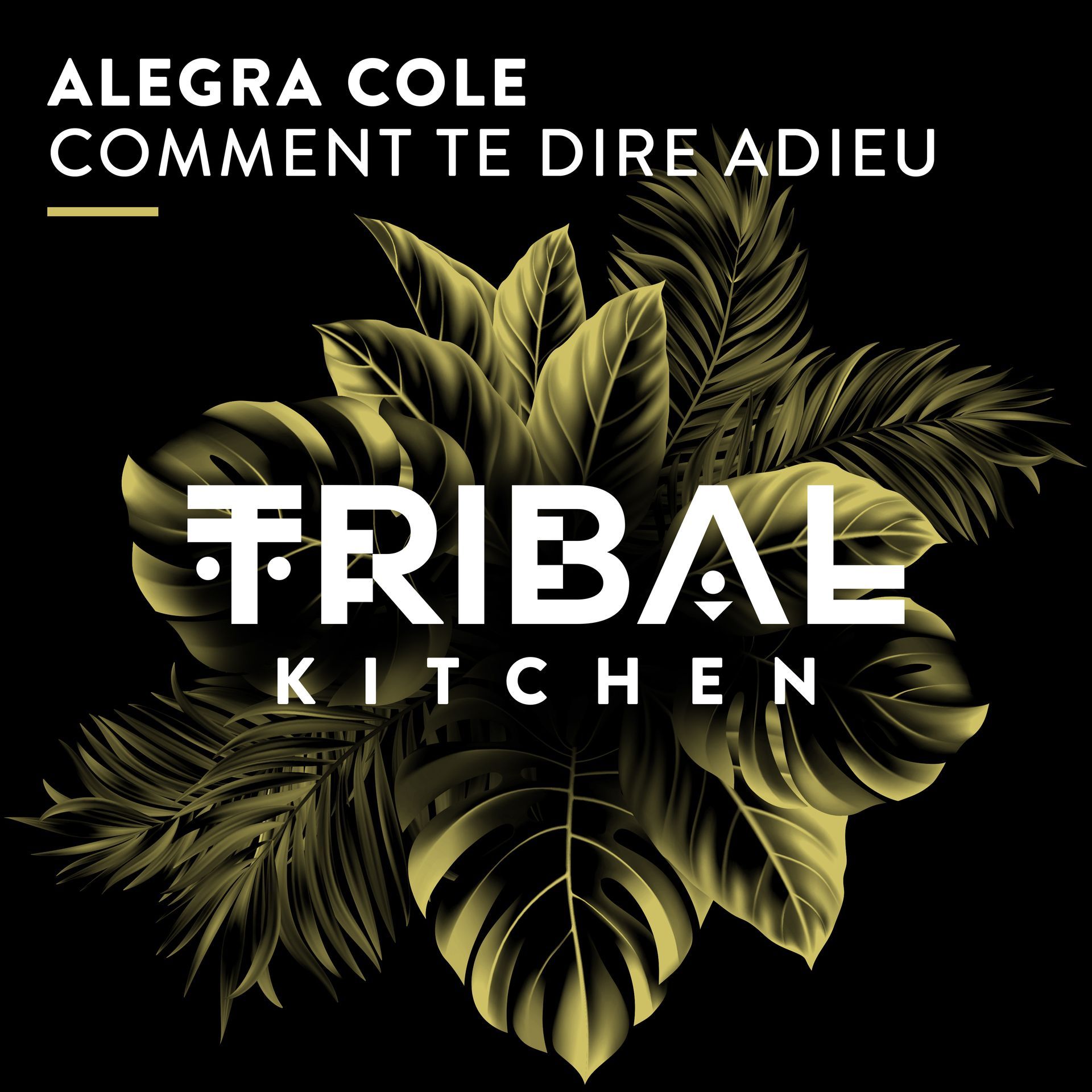 Alegra Cole ist eine deutschland- und europaweit bekannte DJane und Produzentin mit Topreferenzen für Fachmessen, Firmenveranstaltungen, Tagungen, Dinner und Store Events, Roadshows, Jubiläen, Markteinführungen, Get together, Eröffnungsfeiern, Galas, Betriebsfeiern, Business Events, Premium und Luxury Events, Festivals im In- und Ausland.