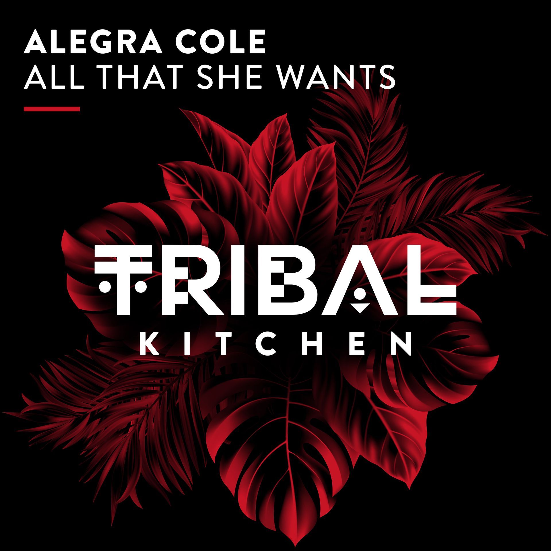 Alegra Cole ist eine deutschland- und europaweit bekannte DJane und Produzentin mit Topreferenzen für Fachmessen, Firmenveranstaltungen, Tagungen, Dinner und Store Events, Roadshows, Jubiläen, Markteinführungen, Get together, Eröffnungsfeiern, Galas, Betriebsfeiern, Business Events, Premium und Luxury Events, Festivals im In- und Ausland.