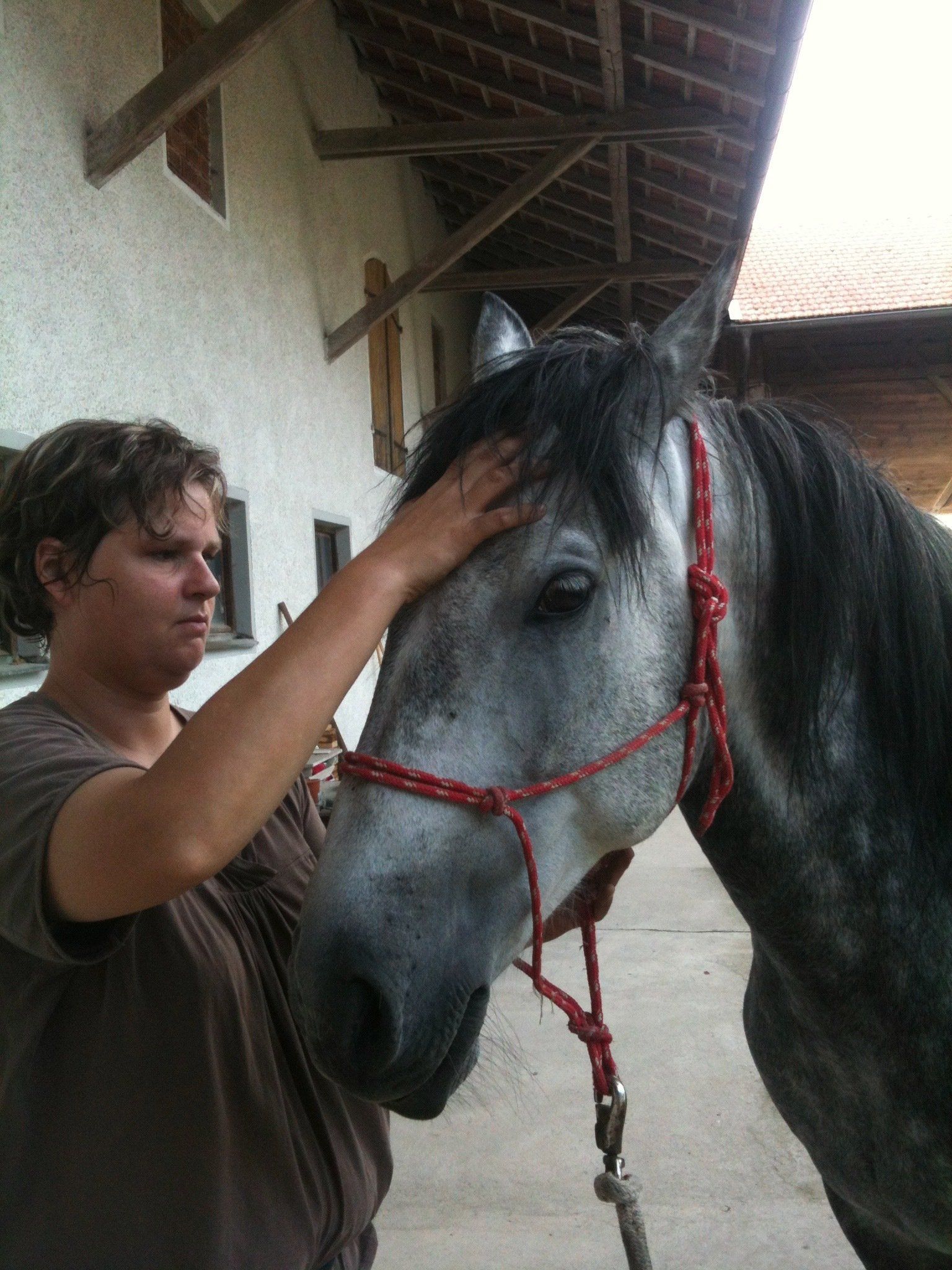 Hormonelle- oder Sensorische Probleme machen aus einer coolen Socke manchmal ein schreckiges-, verschrecktes- oder auch schreckliches Tier eventuell auch Problempferd , Cranio-Sacral, Osteopathie und Energetik lösen. auch schon lang bestehen Problematik, Schmerzen und Psychosen können vergehen, Hund und Pferd lieben Osteopathie in Bayern in der Nähe von Mühldorf und Altötting in Oberbayern, Niederbayern und Teilen von Österreich unterwegs