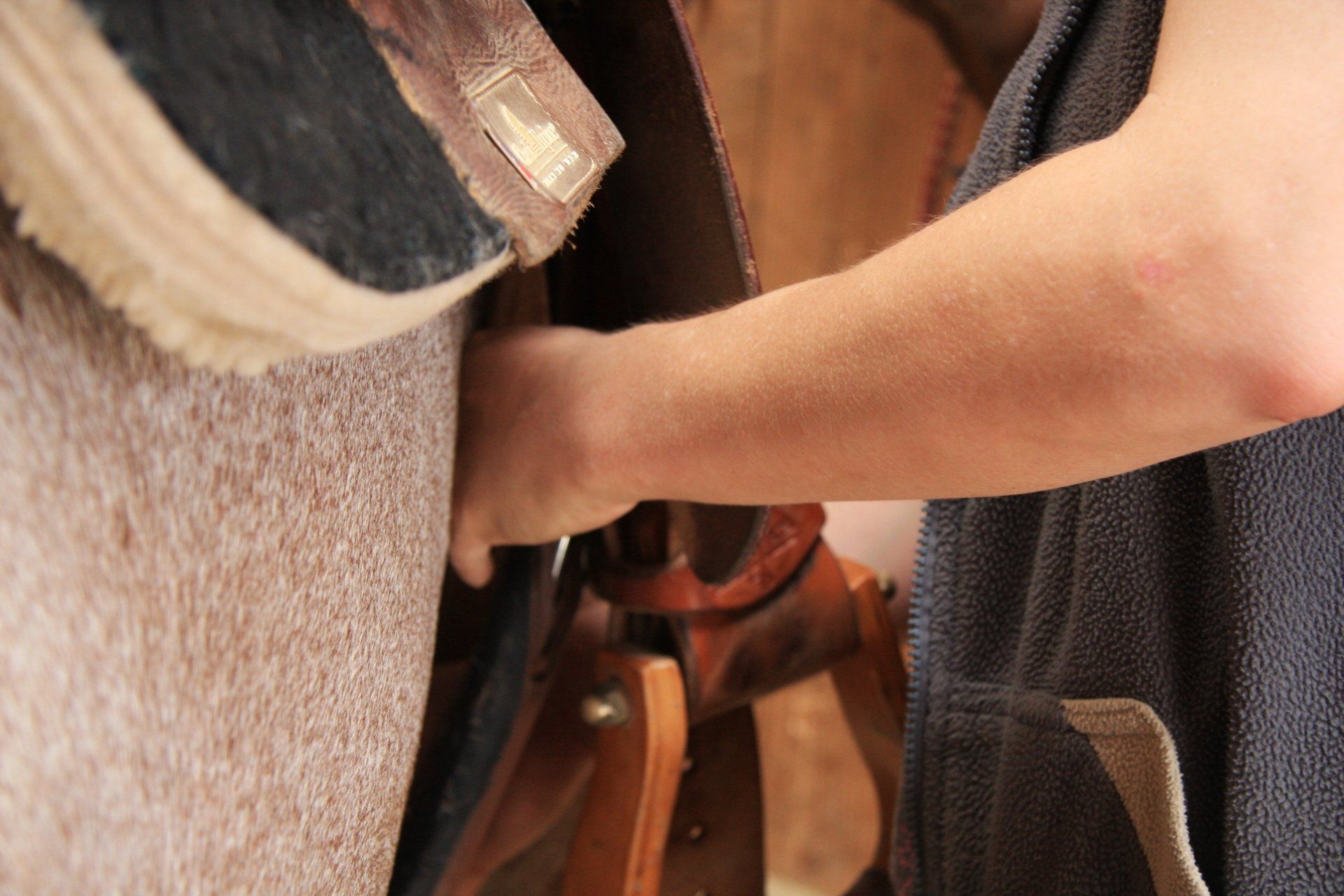 Pferdeosteopathie ist auch wichtig wenn man einen neuen Sattel kaufen will, Hund und Pferd lieben Osteopathie unterwegs in Mühldorf und Altötting auch in anderen Landkreisen unterwegs wie z.B. Landhut, München, Erding, Ebersberg, Rosenheim, Traunstein, Dingolfing und Rottal-Inn