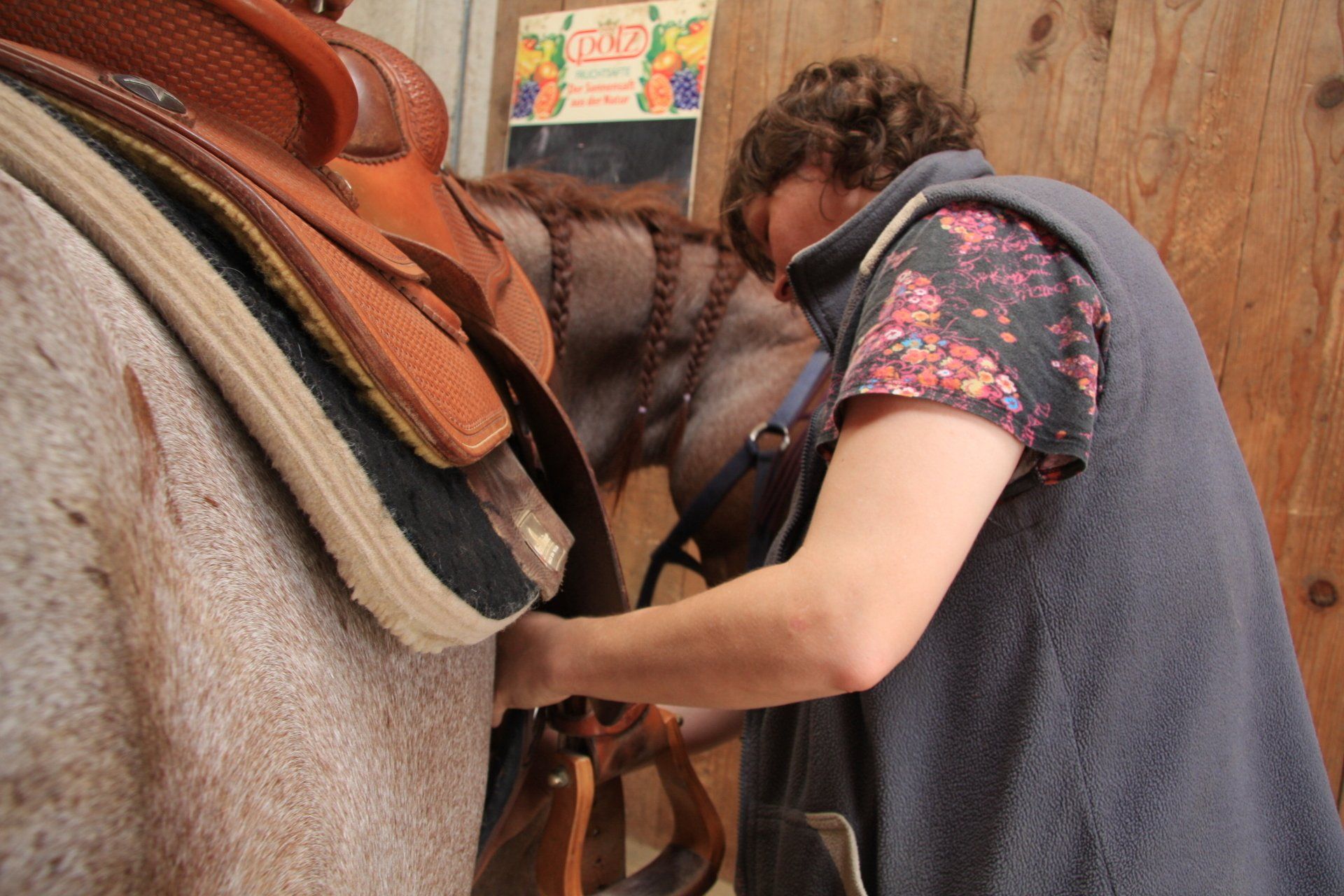 Pferdeosteopathie ist auch wichtig wenn man einen neuen Sattel kaufen will, Hund und Pferd lieben Osteopathie unterwegs in Mühldorf und Altötting auch in anderen Landkreisen unterwegs wie z.B. Landhut, München, Erding, Ebersberg, Rosenheim, Traunstein, Dingolfing und Rottal-Inn