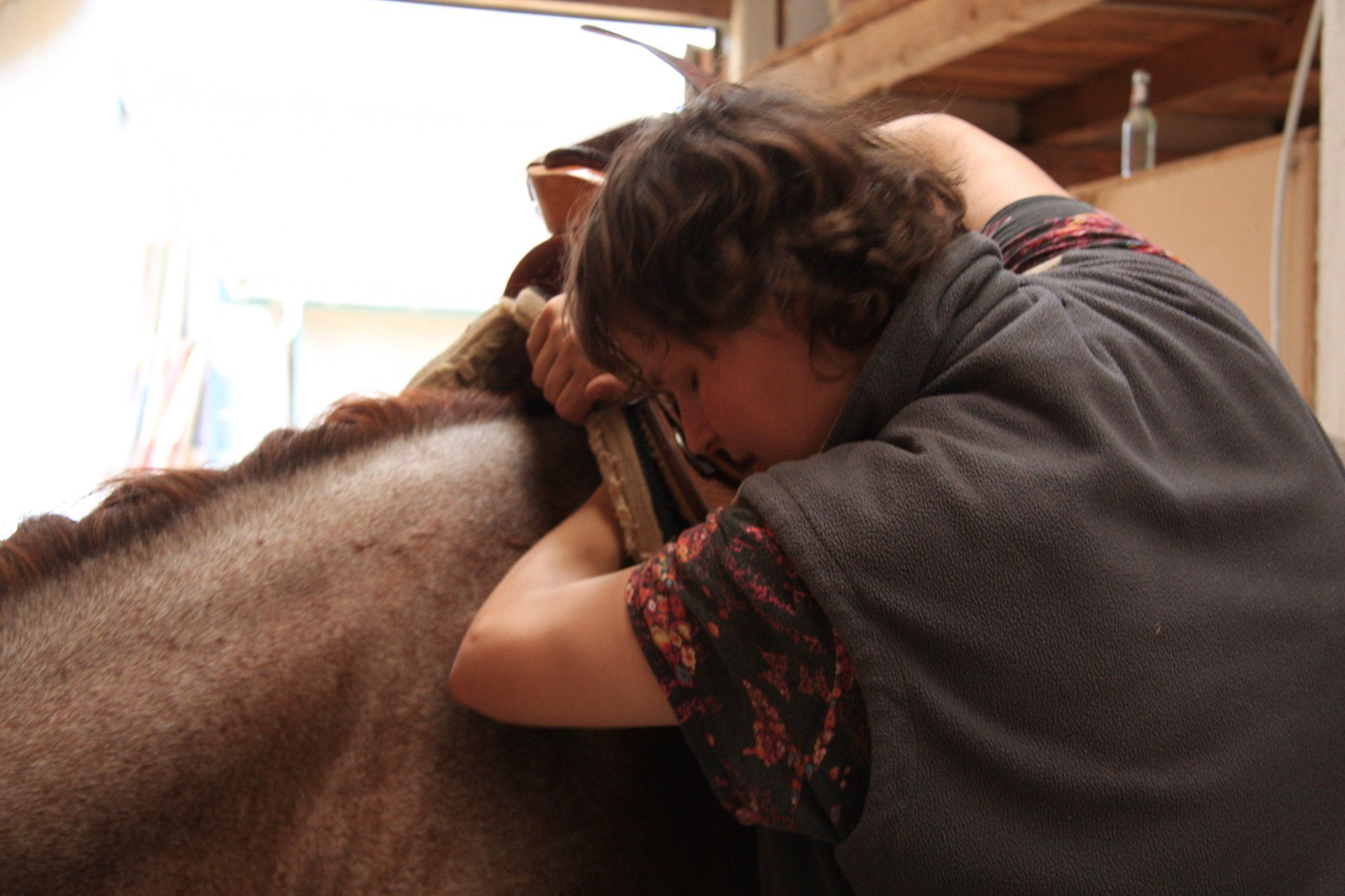 Vor dem Sattelkauf, z.B. Wirbel- und Organ-Blockaden über Cranio - Osteopathie und Energetik lösen. Schiefe des Pferdes wieder begradigen, Hund und Pferd lieben Osteopathie in Bayern in der Nähe von Mühldorf und Altötting in Oberbayern, Niederbayern und Teilen von Österreich unterwegs