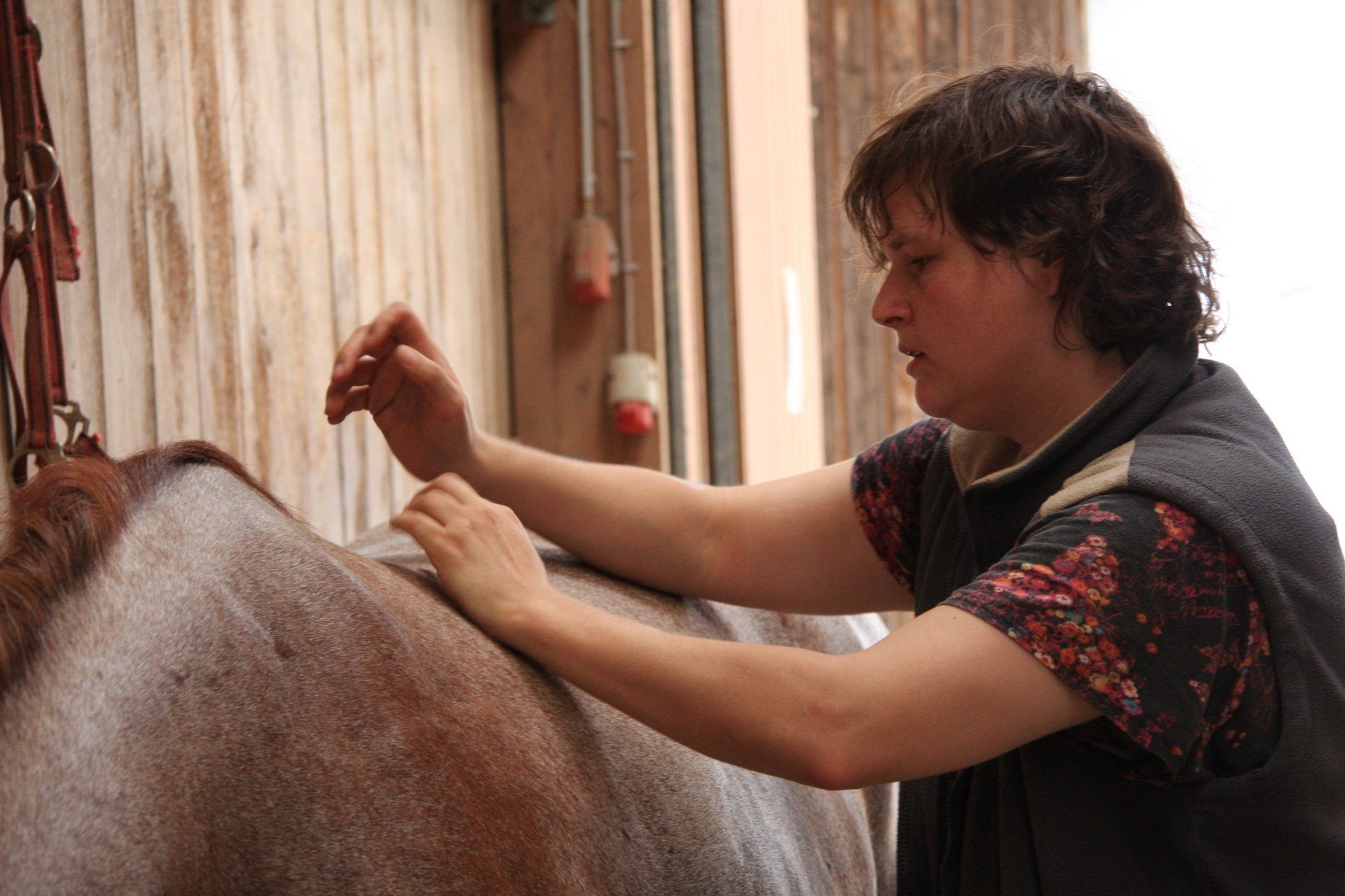 Pferdeosteopathie kann bei Sattelzwang und Gurtzwang helfen, Verena Berthold unterwegs in Niederbayern, Oberbayern und Teilen Österreichs