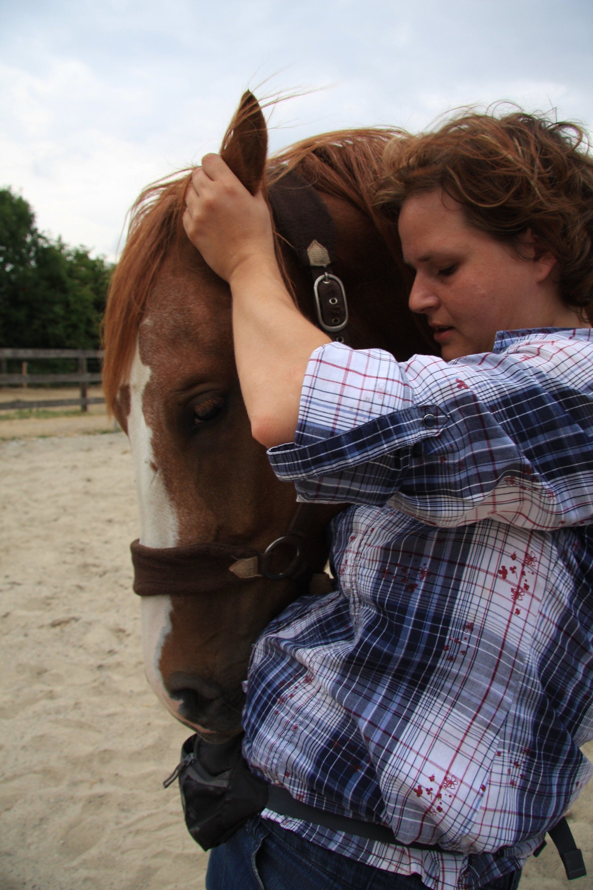 Schmerz und Blockadenlösung bei Hund und Pferd, Pferdeosteopathie Verena Berthold, Bayern , Landkreise Mühldorf, Altötting, Erding, Ebersbert, Rottal-Inn, Traunstein, Rosenheim, Dingolfing, München,in Teilen von Österreich